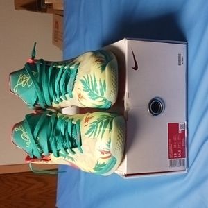 Lebron sz 13 Lebronold Palmers